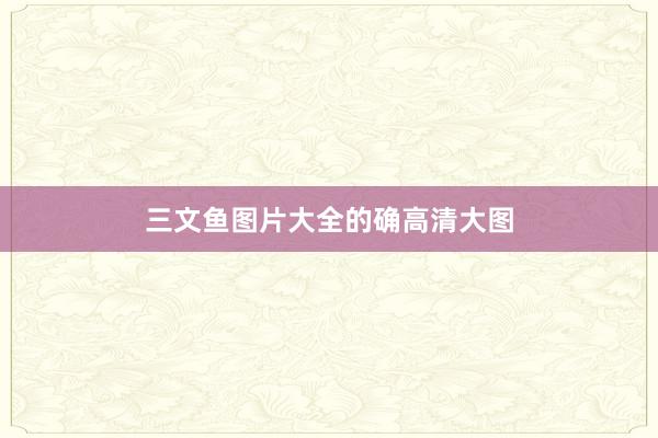 三文鱼图片大全的确高清大图