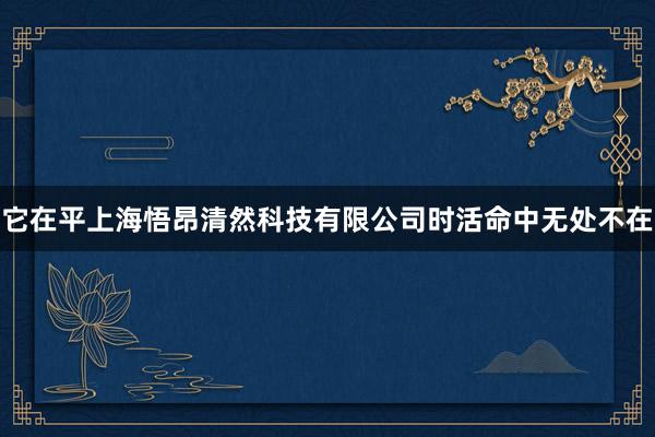 它在平上海悟昂清然科技有限公司时活命中无处不在