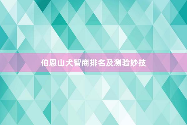 伯恩山犬智商排名及测验妙技