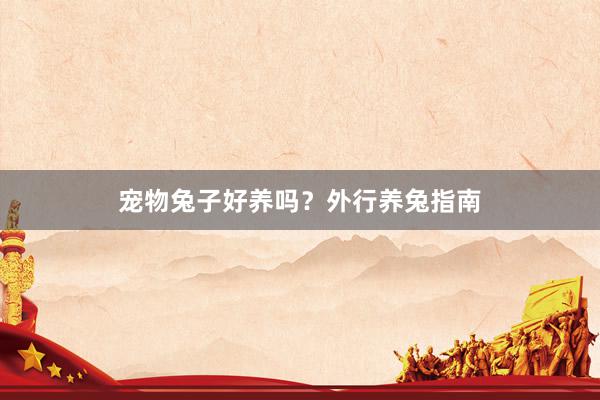 宠物兔子好养吗?外行养兔指南