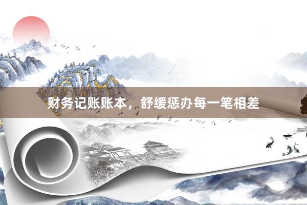财务记账账本，舒缓惩办每一笔相差