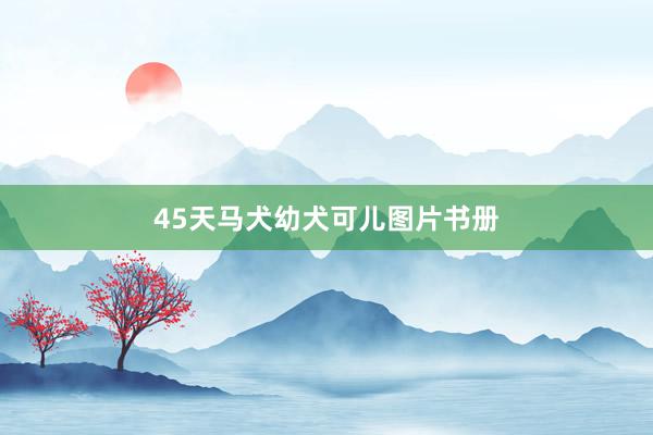 45天马犬幼犬可儿图片书册